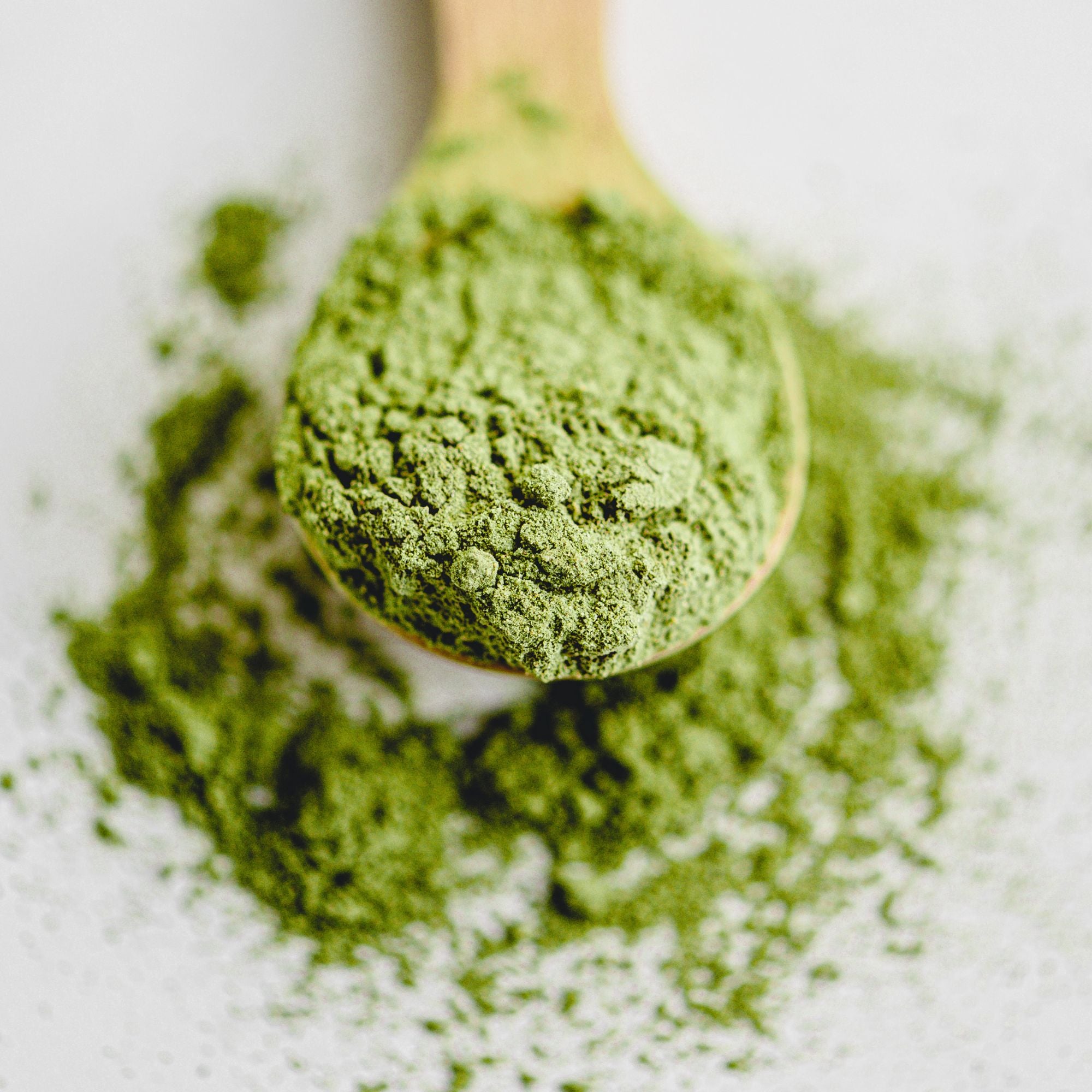Matcha Powder — Culinary Grade (50g)