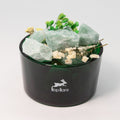 Crystal Aroma Set — The Magician